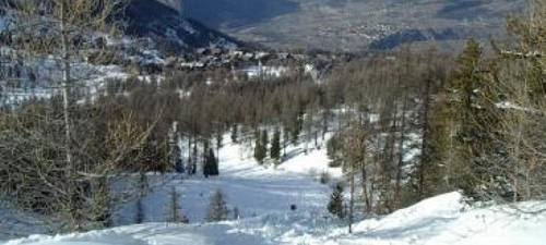 La Forêt Blanche